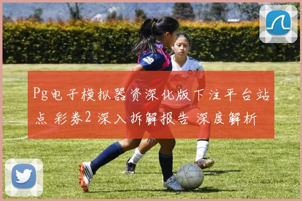 Pg电子模拟器资深化版下注平台站点 彩券2 深入拆解报告 深度解析