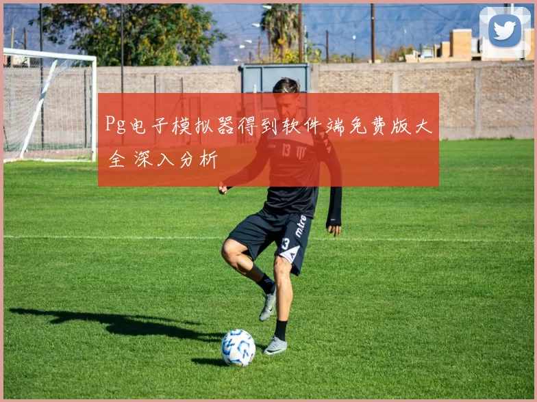 Pg电子模拟器得到软件端免费版大全 深入分析