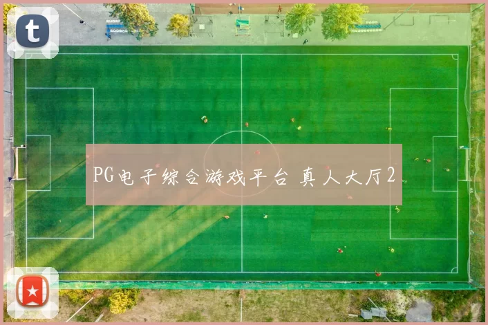 PG电子综合游戏平台 真人大厅2
