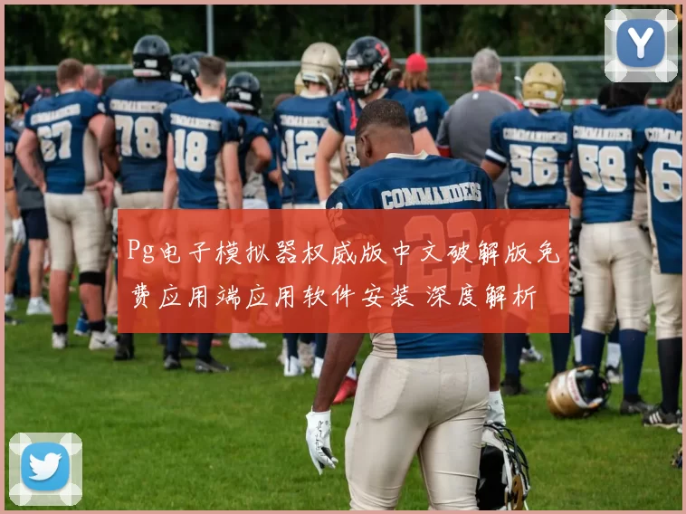 Pg电子模拟器权威版中文破解版免费应用端应用软件安装 深度解析