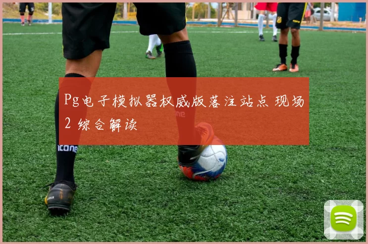 Pg电子模拟器权威版落注站点 现场2 综合解读