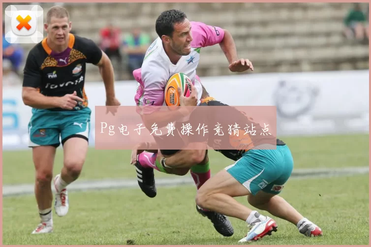 Pg电子免费操作竞猜站点